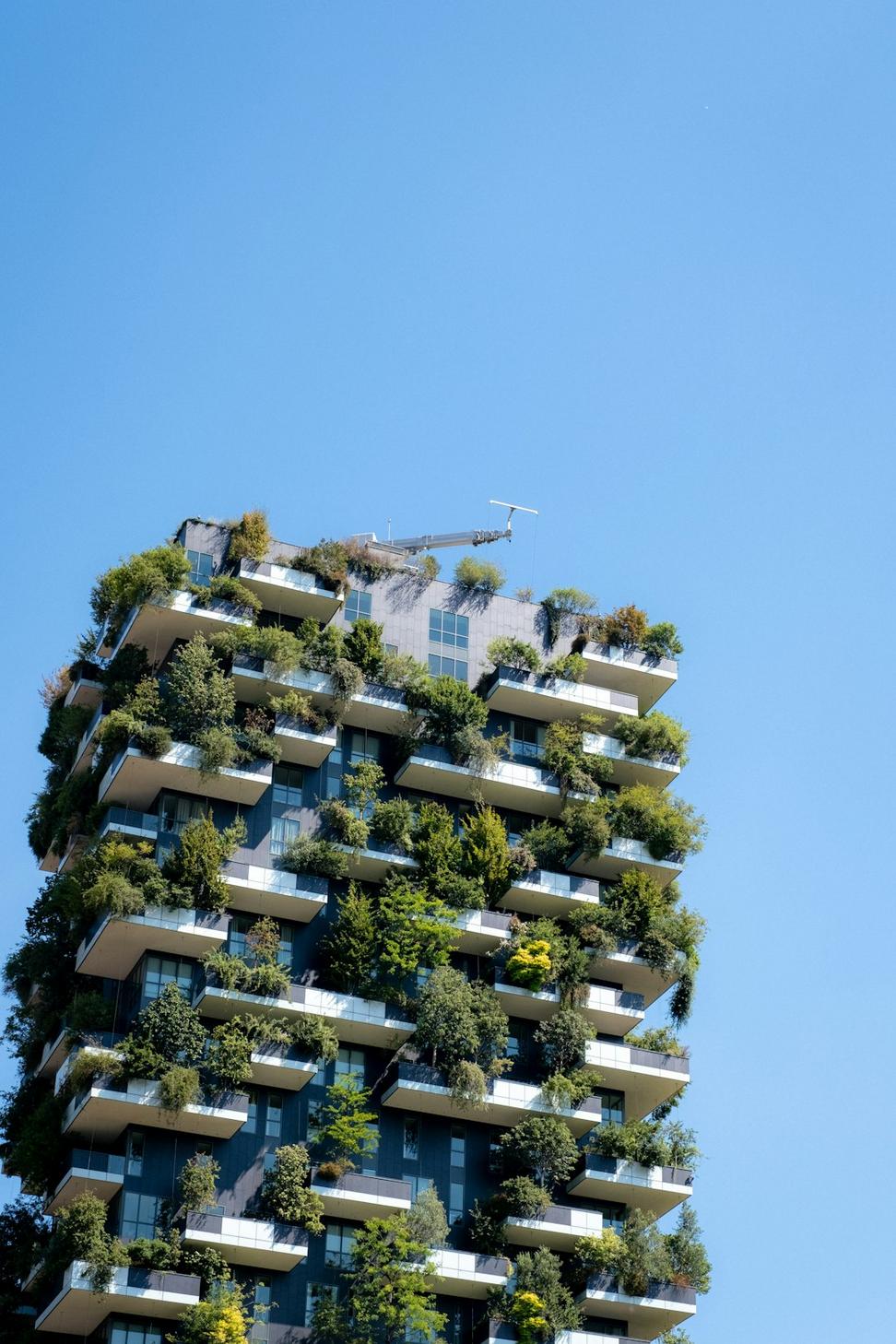 Sustainable Planning Process